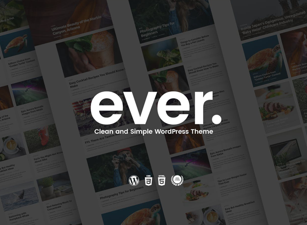 杂志风博客主题 Ever – Clean and Simple WordPress Theme