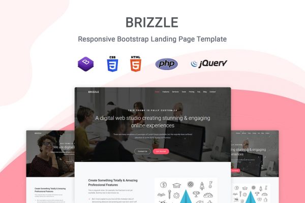多用途企业官网着陆页HTML模板 Brizzle – Landing Page Template